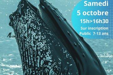 Affiche atelier Cétaplanète à la découverte des baleines à bosse  - Médiathèque de Locminé