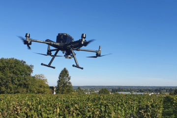 Drone survolant des vignes