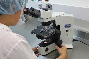 Un scientifique regarde dans un microscope