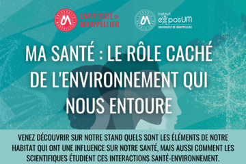 Ma santé : le rôle caché de l'environnement qui nous entoure