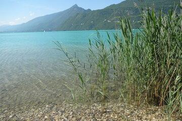 Stand Up "Pourquoi le lac devient turquoise en été ?"