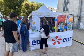 stand EDF