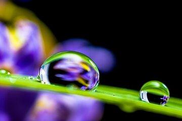 L'eau une ressource vitale