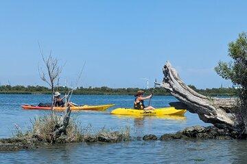 Kayak à l'embouchure du Grand Rhône