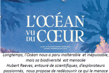 Affiche film Océan vu du cœur