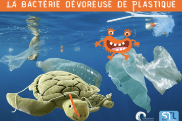 Image présentant les déchets plastiques de l'océan avec une tortue de mer en peluche avec une paille bloquée dans les voies respiratoires.