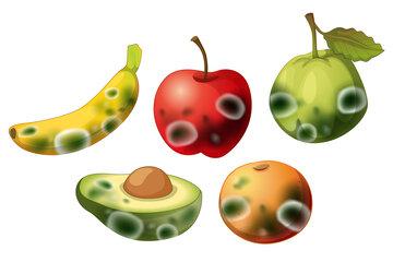 Fruits moisis