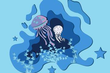 jellyfish