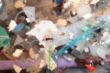 Les microplastiques sur une plage du Finistère