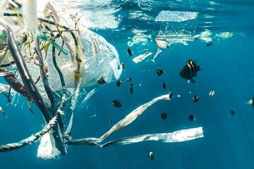 Conférence à deux voix "Une pollution émergente en mer"