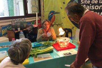 Animations par la Maison de l'eau au Village des sciences de Vierzon