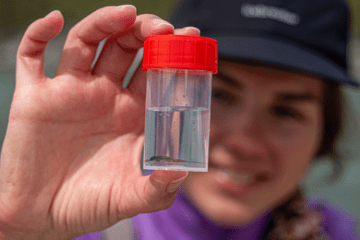 Biodiversité des rivières alpines