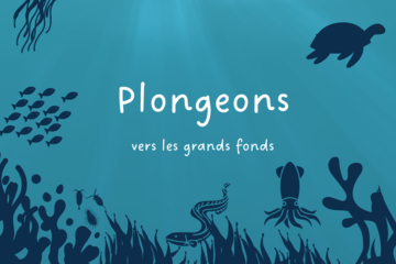 Plongeons vers les grands fonds