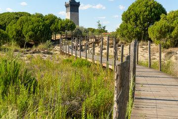 Phare Espiguette