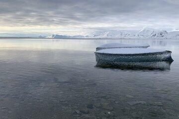 Photo d'une banquise en Arctique