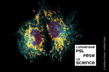 Image de la fête de la science 2024 à l'Institut Curie