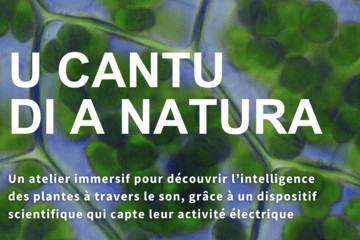 U cantu di a natura Affiche de l'atelier