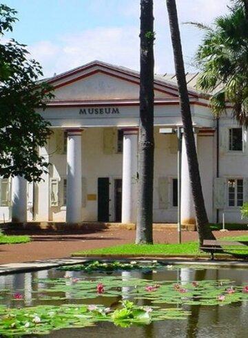 Museum histoire naturelle