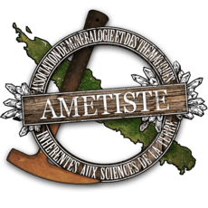 logo association AMETISTE