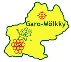 Garo-Mölkky