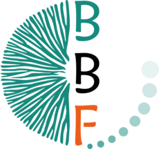 UMR1163 - Biodiversité et Biotechnologie Fongiques (BBF)