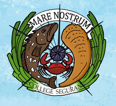 Logo du Club Mare Nostrum Ségurane avec les 4 emblèmes : Posidonie, Grande Nacre, Mérou brun et Oursin diadème