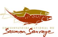 logo conservatoire saumon