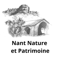 Logo de NNP