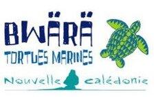 Logo Bwärä Tortues Marines