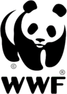 Logo WWF: le panda