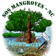 SOS Mangroves