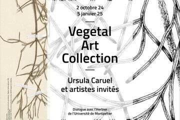 Vegetal Art Collection. Dialogue avec l